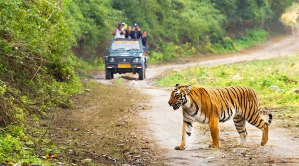 Corbett Adventure Activities - Places to Visit in Jim Corbett National Park - Gola Holidays - Slide 1